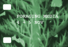 Foraging Media